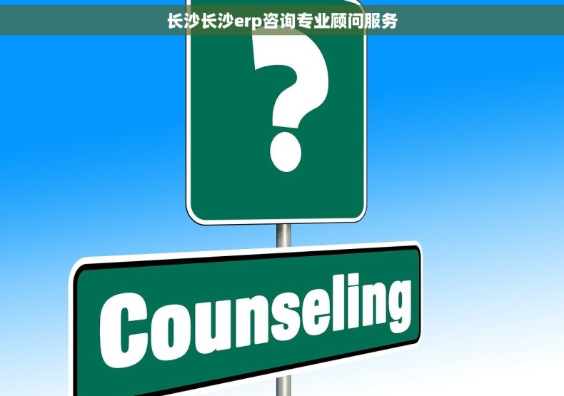 长沙长沙erp咨询专业顾问服务
