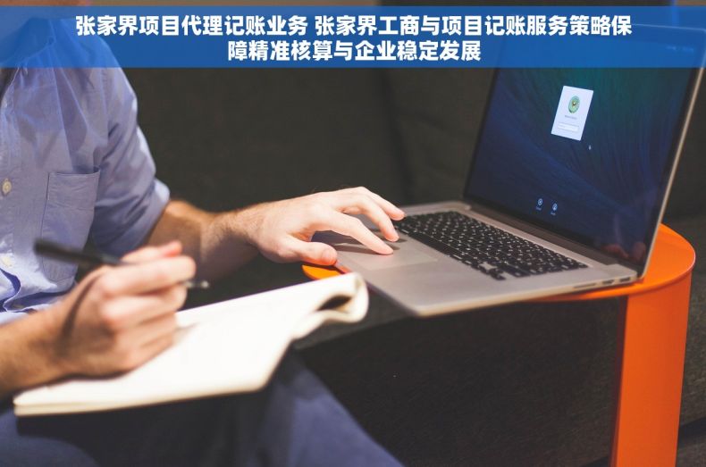 张家界项目代理记账业务 张家界工商与项目记账服务策略保障精准核算与企业稳定发展