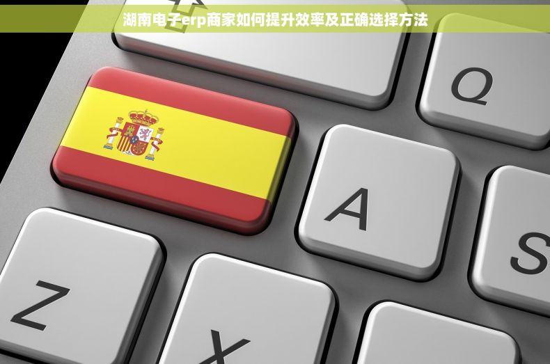 湖南电子erp商家如何提升效率及正确选择方法