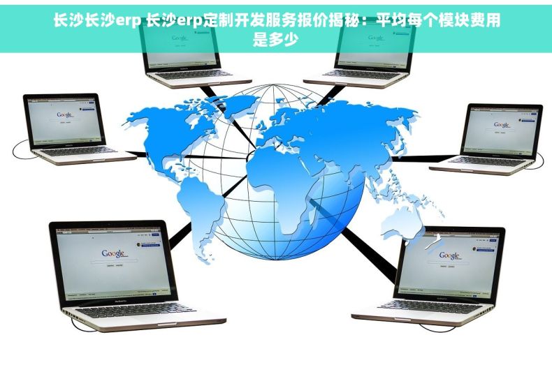 长沙长沙erp 长沙erp定制开发服务报价揭秘：平均每个模块费用是多少