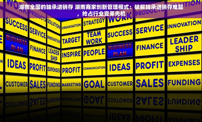 湖南全国的轴承进销存 湖南商家创新管理模式：破解轴承进销存难题，抢占行业变革先机