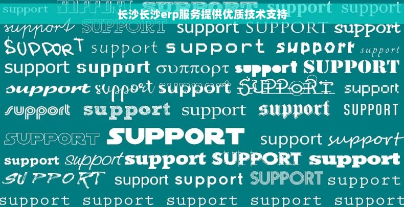 长沙长沙erp服务提供优质技术支持