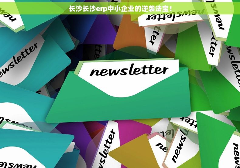 长沙长沙erp中小企业的逆袭法宝！