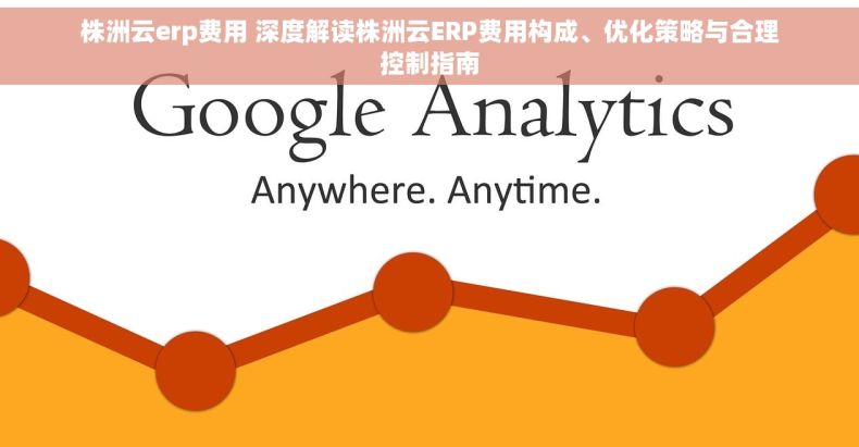 株洲云erp费用 深度解读株洲云ERP费用构成、优化策略与合理控制指南