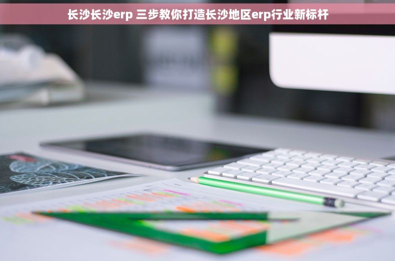 长沙长沙erp 三步教你打造长沙地区erp行业新标杆