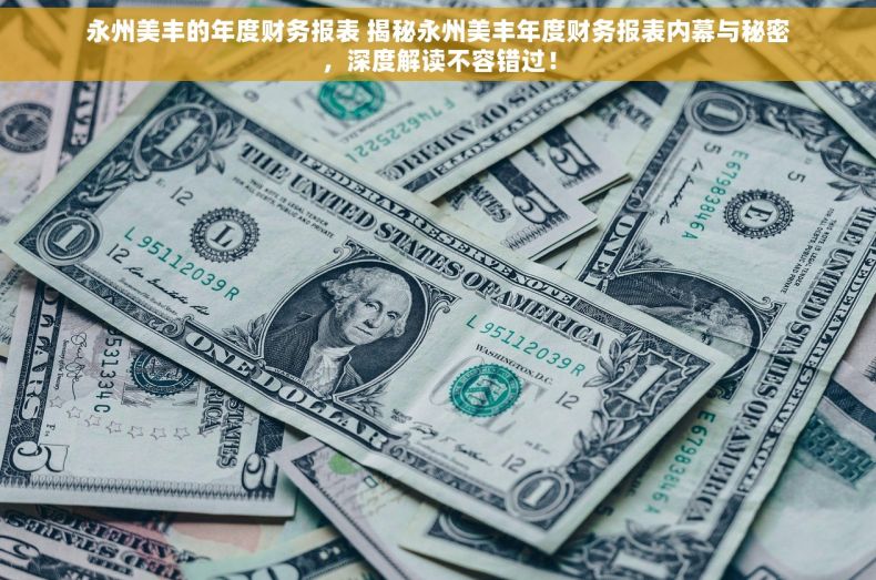 永州美丰的年度财务报表 揭秘永州美丰年度财务报表内幕与秘密，深度解读不容错过！