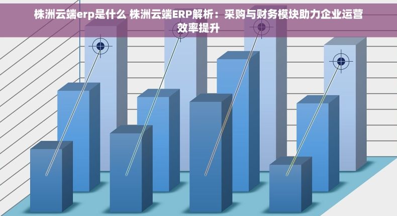 株洲云端erp是什么 株洲云端ERP解析：采购与财务模块助力企业运营效率提升
