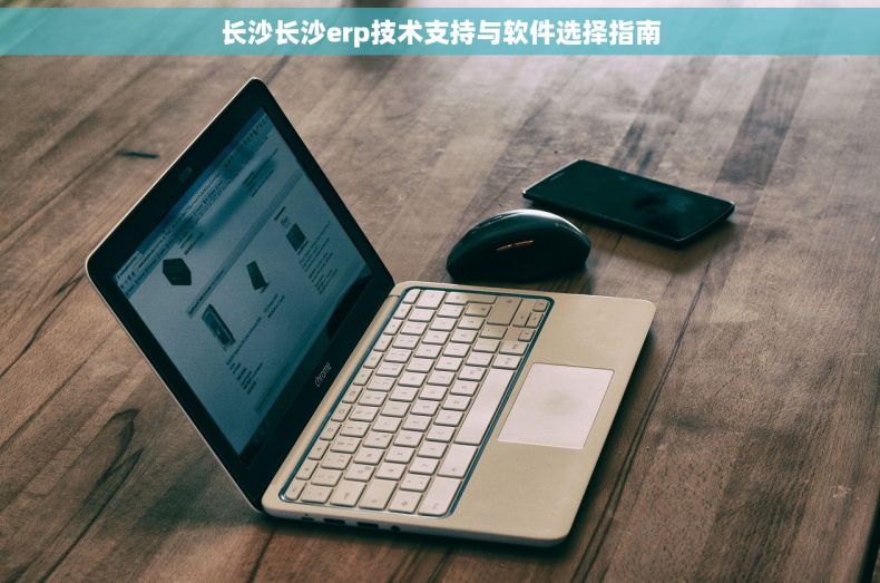 长沙长沙erp技术支持与软件选择指南