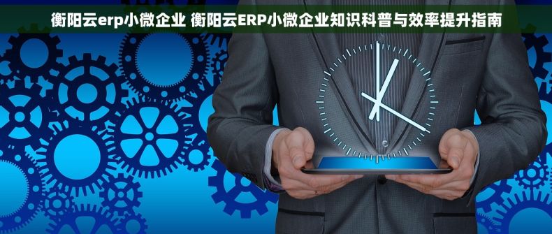 衡阳云erp小微企业 衡阳云ERP小微企业知识科普与效率提升指南