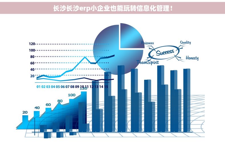 长沙长沙erp小企业也能玩转信息化管理！