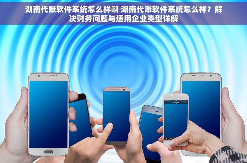 湖南代账软件系统怎么样啊 湖南代账软件系统怎么样？解决财务问题与适用企业类型详解