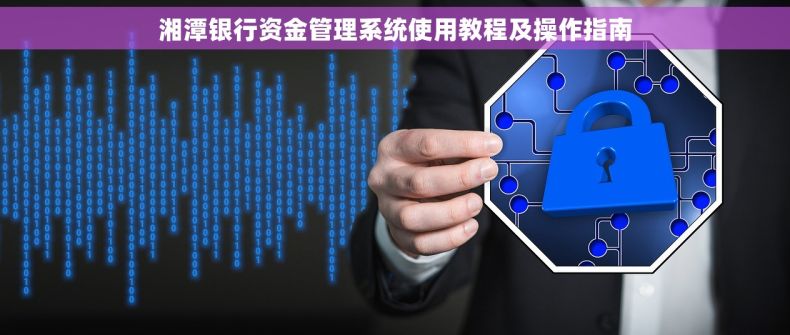 湘潭银行资金管理系统使用教程及操作指南