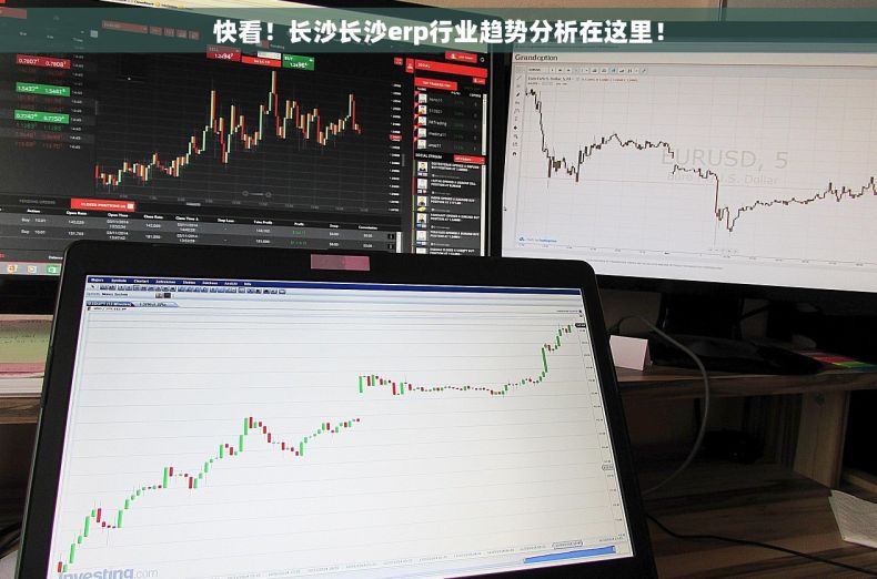 快看！长沙长沙erp行业趋势分析在这里！
