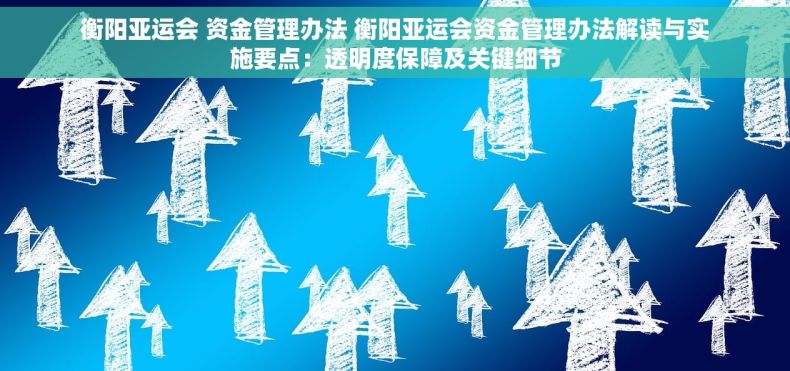 衡阳亚运会 资金管理办法 衡阳亚运会资金管理办法解读与实施要点：透明度保障及关键细节