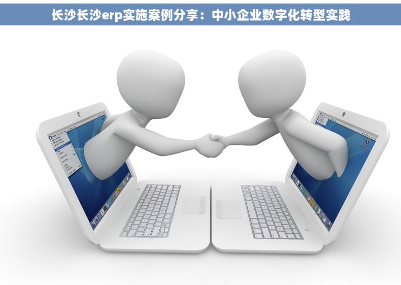 长沙长沙erp实施案例分享：中小企业数字化转型实践