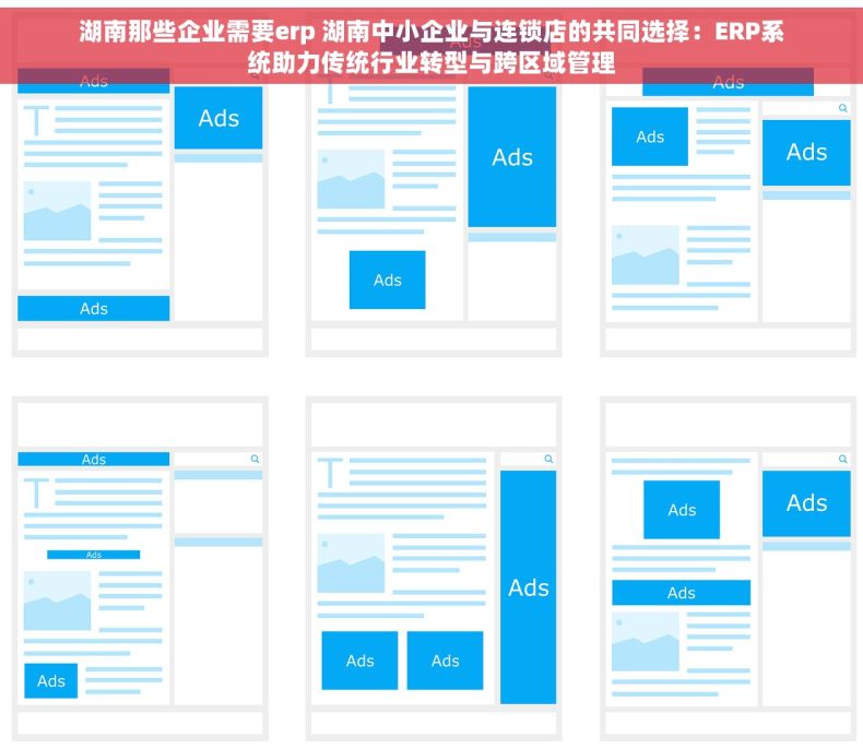 湖南那些企业需要erp 湖南中小企业与连锁店的共同选择：ERP系统助力传统行业转型与跨区域管理