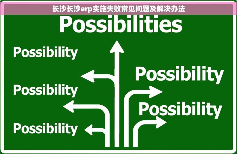 长沙长沙erp实施失败常见问题及解决办法