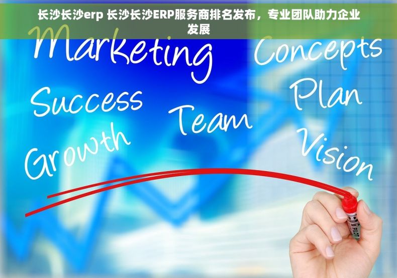 长沙长沙erp 长沙长沙ERP服务商排名发布，专业团队助力企业发展