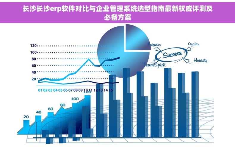 长沙长沙erp软件对比与企业管理系统选型指南最新权威评测及必备方案