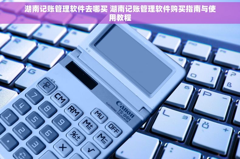 湖南记账管理软件去哪买 湖南记账管理软件购买指南与使用教程