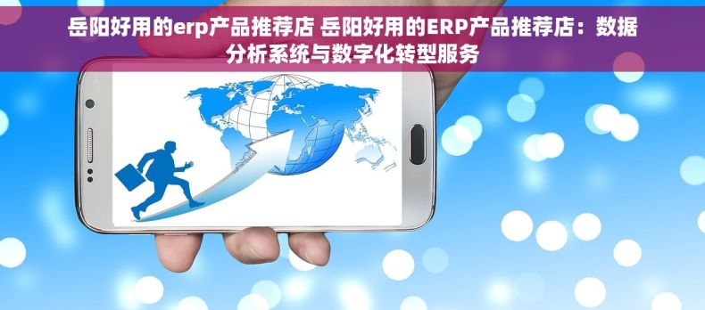 岳阳好用的erp产品推荐店 岳阳好用的ERP产品推荐店：数据分析系统与数字化转型服务