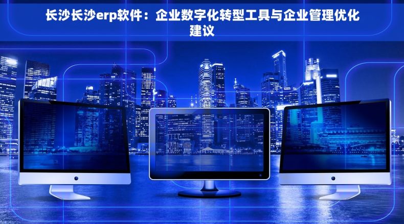 长沙长沙erp软件：企业数字化转型工具与企业管理优化建议