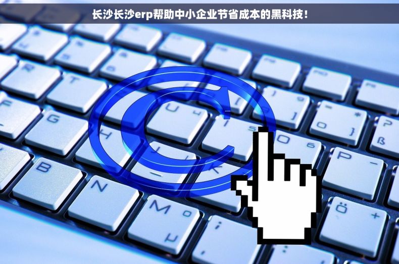 长沙长沙erp帮助中小企业节省成本的黑科技！