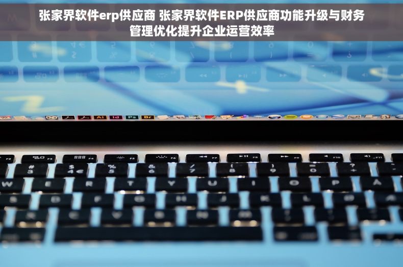 张家界软件erp供应商 张家界软件ERP供应商功能升级与财务管理优化提升企业运营效率
