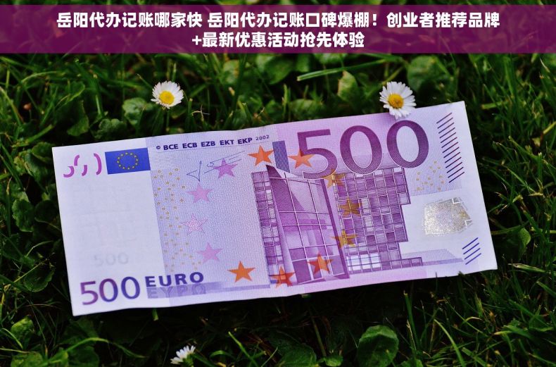 岳阳代办记账哪家快 岳阳代办记账口碑爆棚！创业者推荐品牌+最新优惠活动抢先体验