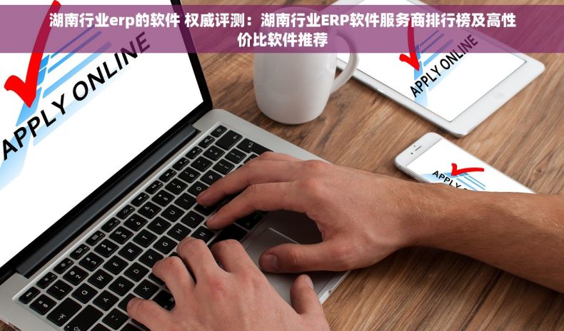 湖南行业erp的软件 权威评测：湖南行业ERP软件服务商排行榜及高性价比软件推荐