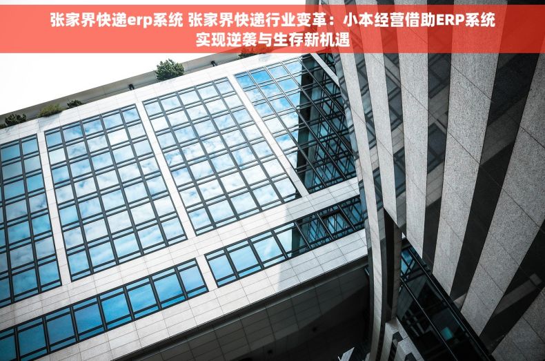 张家界快递erp系统 张家界快递行业变革：小本经营借助ERP系统实现逆袭与生存新机遇