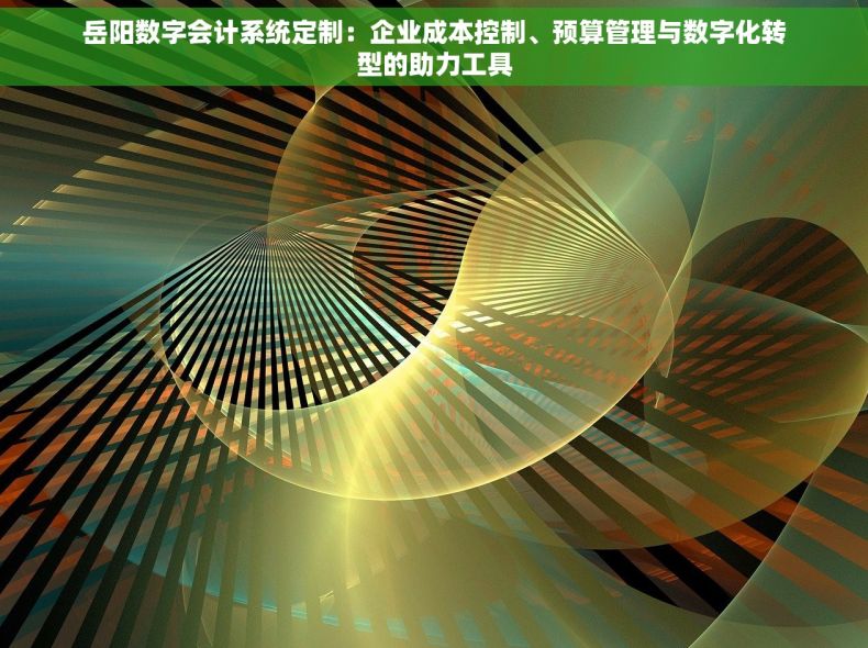 岳阳数字会计系统定制：企业成本控制、预算管理与数字化转型的助力工具