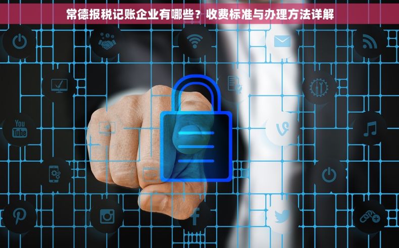 常德报税记账企业有哪些？收费标准与办理方法详解