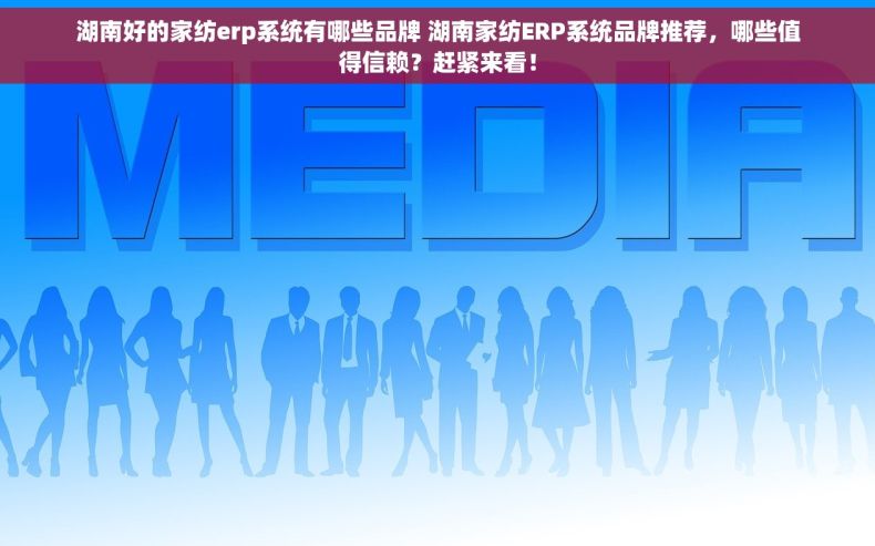 湖南好的家纺erp系统有哪些品牌 湖南家纺ERP系统品牌推荐，哪些值得信赖？赶紧来看！