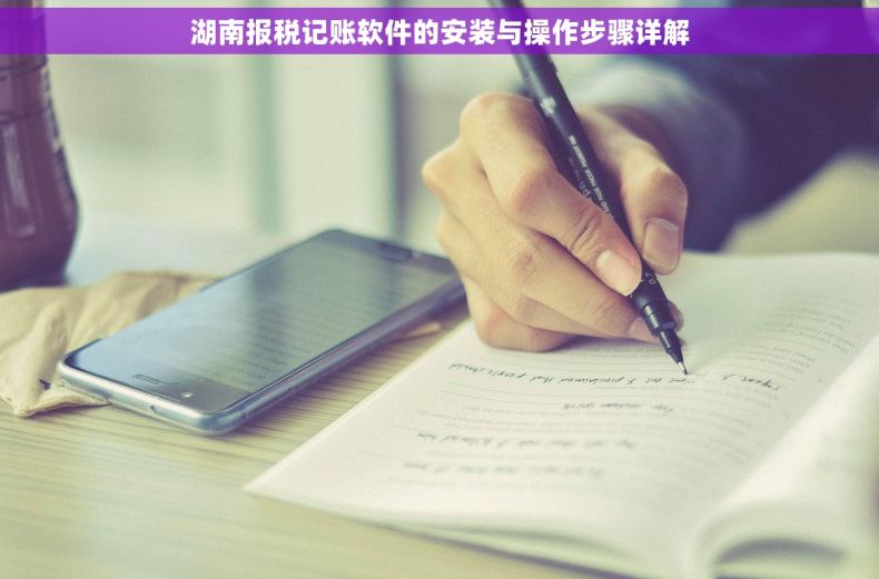 湖南报税记账软件的安装与操作步骤详解