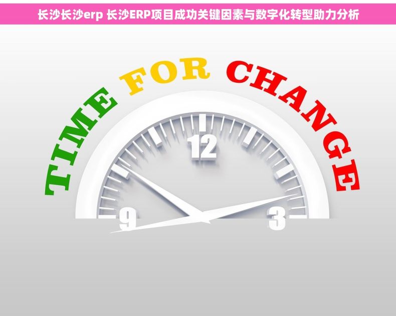 长沙长沙erp 长沙ERP项目成功关键因素与数字化转型助力分析