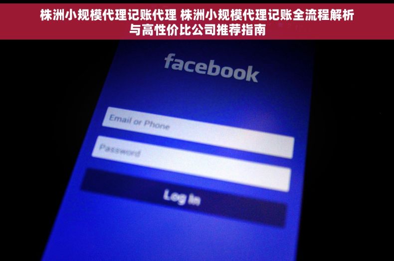 株洲小规模代理记账代理 株洲小规模代理记账全流程解析与高性价比公司推荐指南