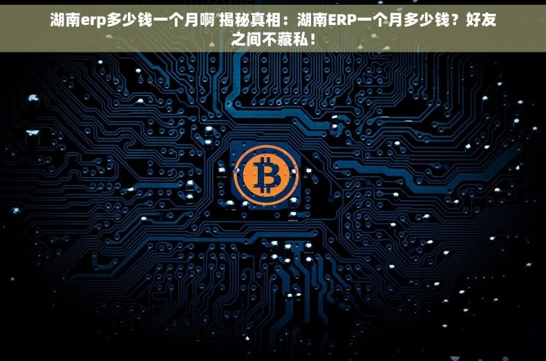 湖南erp多少钱一个月啊 揭秘真相：湖南ERP一个月多少钱？好友之间不藏私！