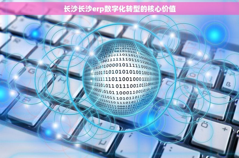 长沙长沙erp数字化转型的核心价值
