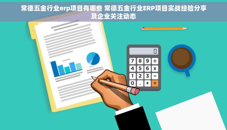 常德五金行业erp项目有哪些 常德五金行业ERP项目实战经验分享及企业关注动态