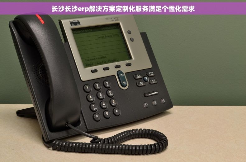 长沙长沙erp解决方案定制化服务满足个性化需求