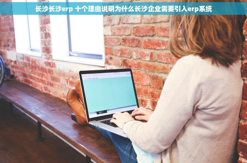 长沙长沙erp 十个理由说明为什么长沙企业需要引入erp系统