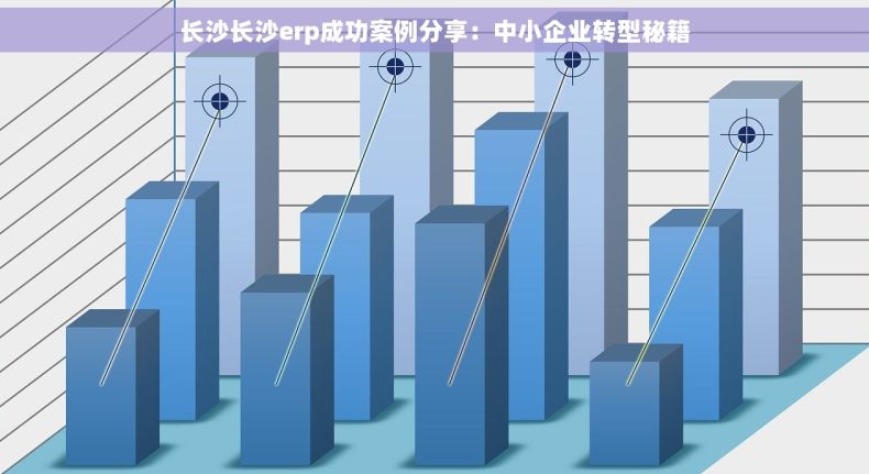 长沙长沙erp成功案例分享：中小企业转型秘籍