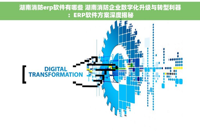 湖南消防erp软件有哪些 湖南消防企业数字化升级与转型利器：ERP软件方案深度揭秘