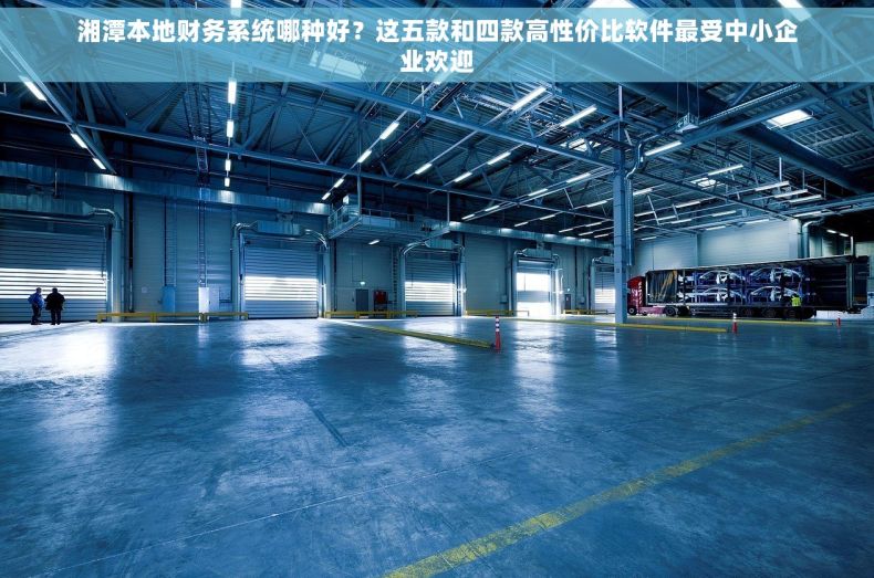 湘潭本地财务系统哪种好？这五款和四款高性价比软件最受中小企业欢迎