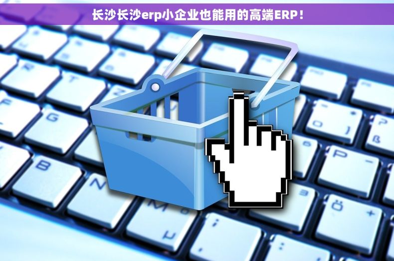 长沙长沙erp小企业也能用的高端ERP！
