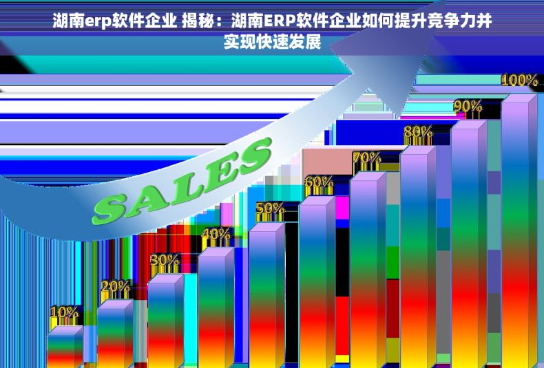 湖南erp软件企业 揭秘：湖南ERP软件企业如何提升竞争力并实现快速发展