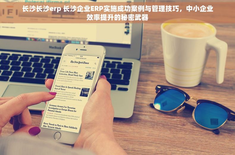长沙长沙erp 长沙企业ERP实施成功案例与管理技巧，中小企业效率提升的秘密武器