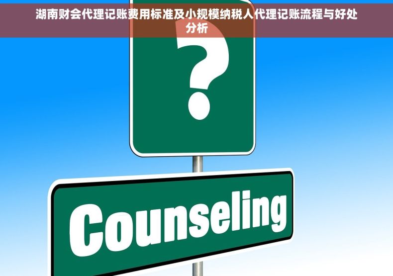湖南财会代理记账费用标准及小规模纳税人代理记账流程与好处分析