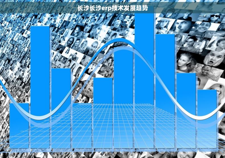 长沙长沙erp技术发展趋势